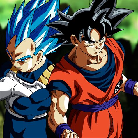 Son Goku/Vegeta (Dragon Ball)